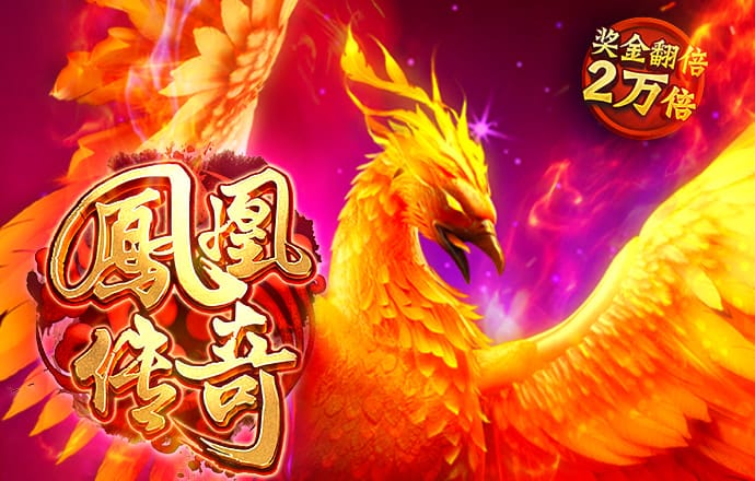 赛酷体育平台官网