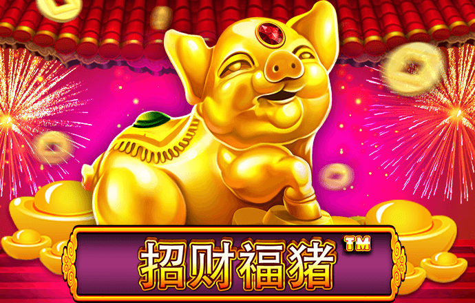 bibo必博体育